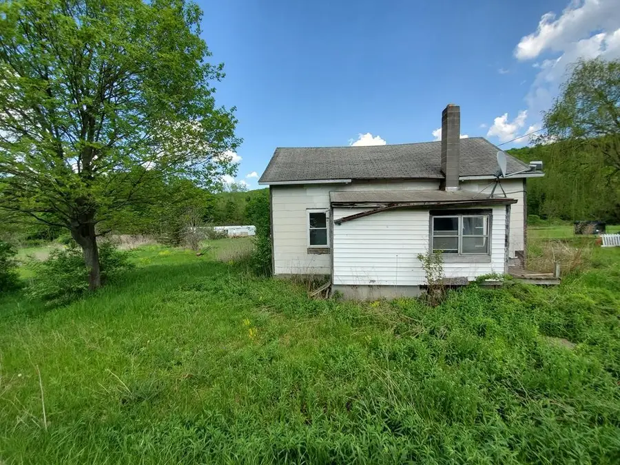 3718 State Route 228, Alpine, NY 14869 - Image #2