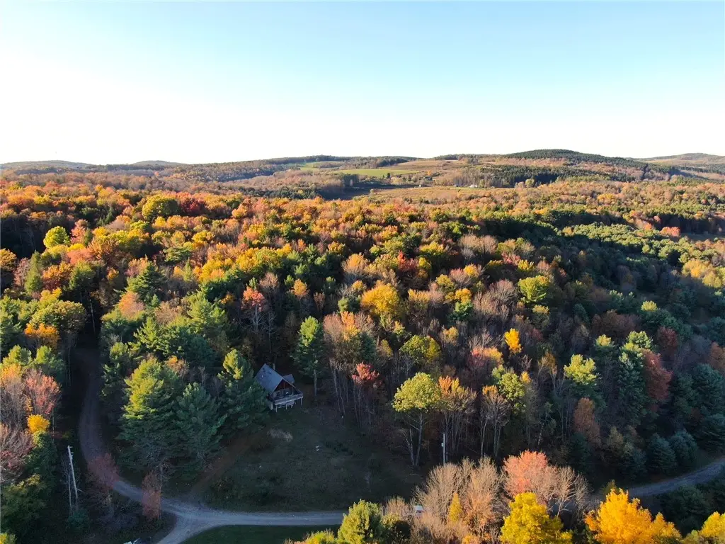 260 Log Cabin Lane, South New Berlin, NY 13843 - Image #1