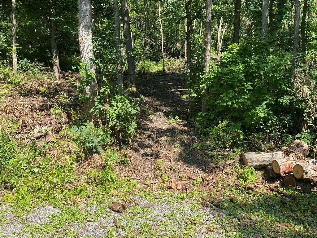 5661 E Lake Road, Honeoye, NY 14471 - Image #1