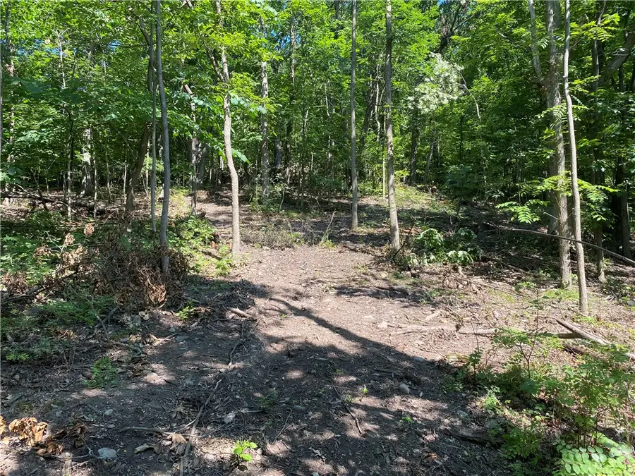 5661 E Lake Road, Honeoye, NY 14471 - Image #3