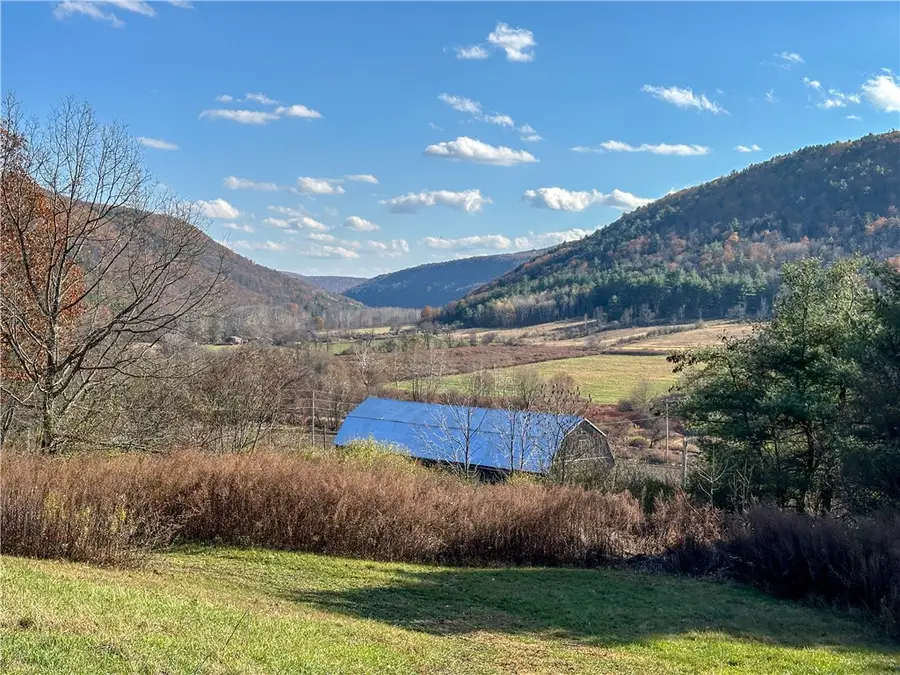 4419 County Route 119, Cameron, NY 14819 - Image #3