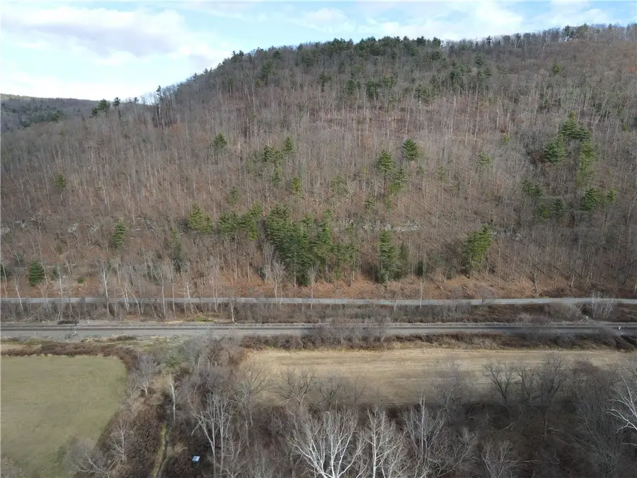 VL County Route 119 N, Cameron, NY 14819 - Image #2