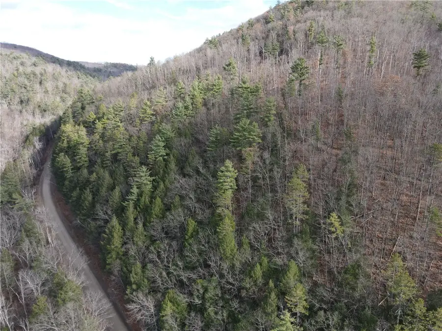 VL County Route 119 N, Cameron, NY 14819 - Image #3