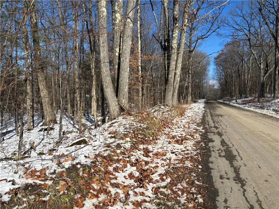 Stanley Roseboom Road, Schenevus, NY 12155 - Image #2