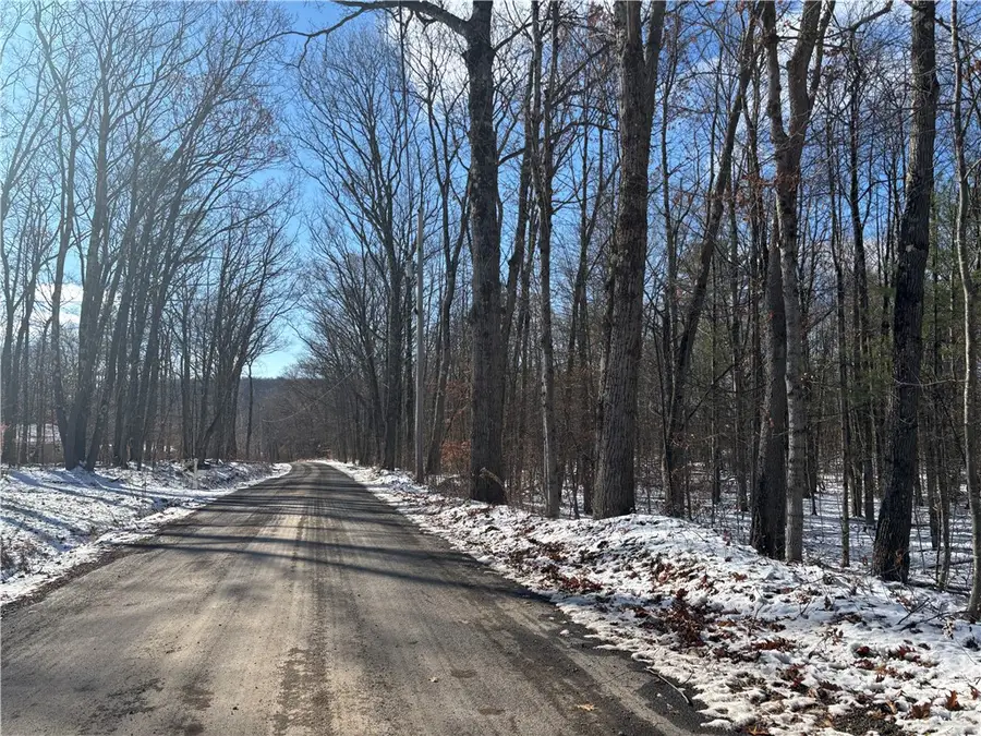 Stanley Roseboom Road, Schenevus, NY 12155 - Image #3