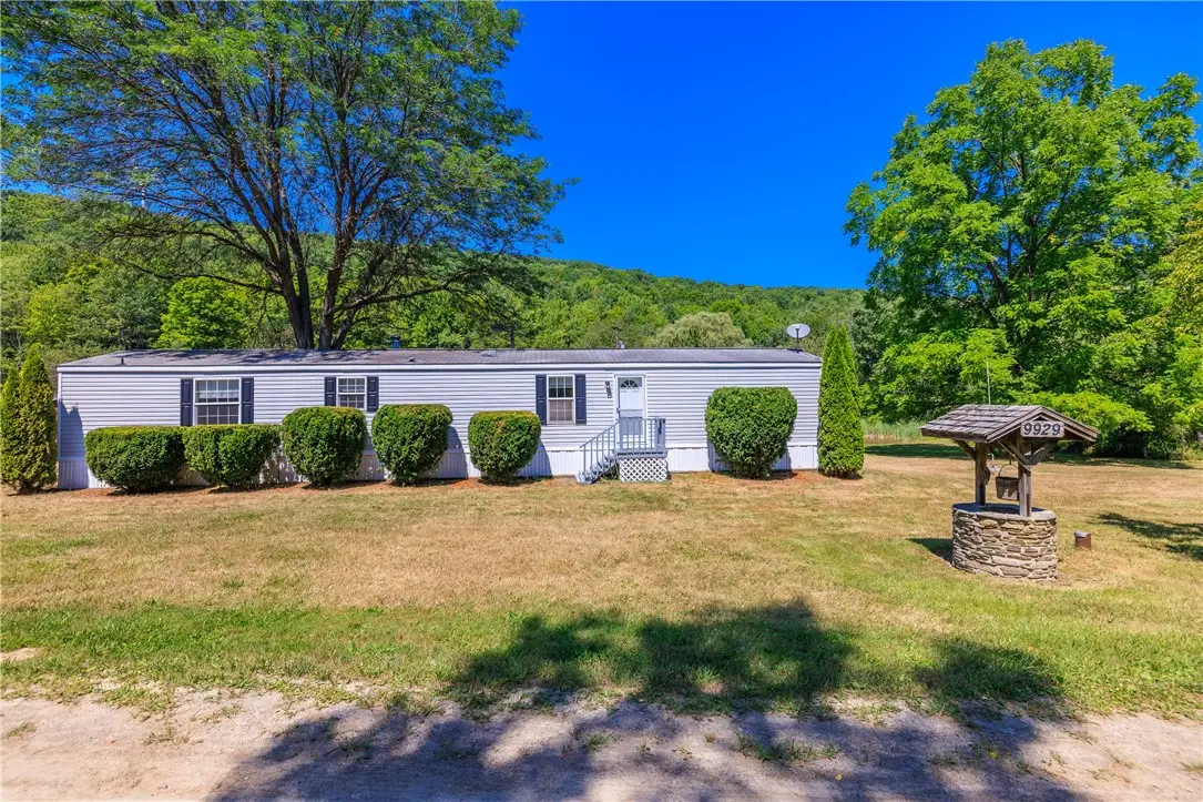 9929 Lake Hollow Road, Cohocton, NY 14826 - #1