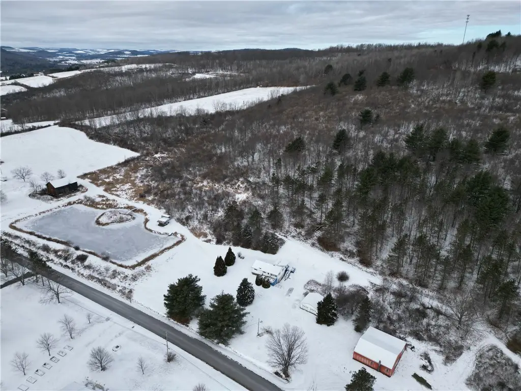 5565 Thomas Road, Woodhull, NY 14898 - Image #1