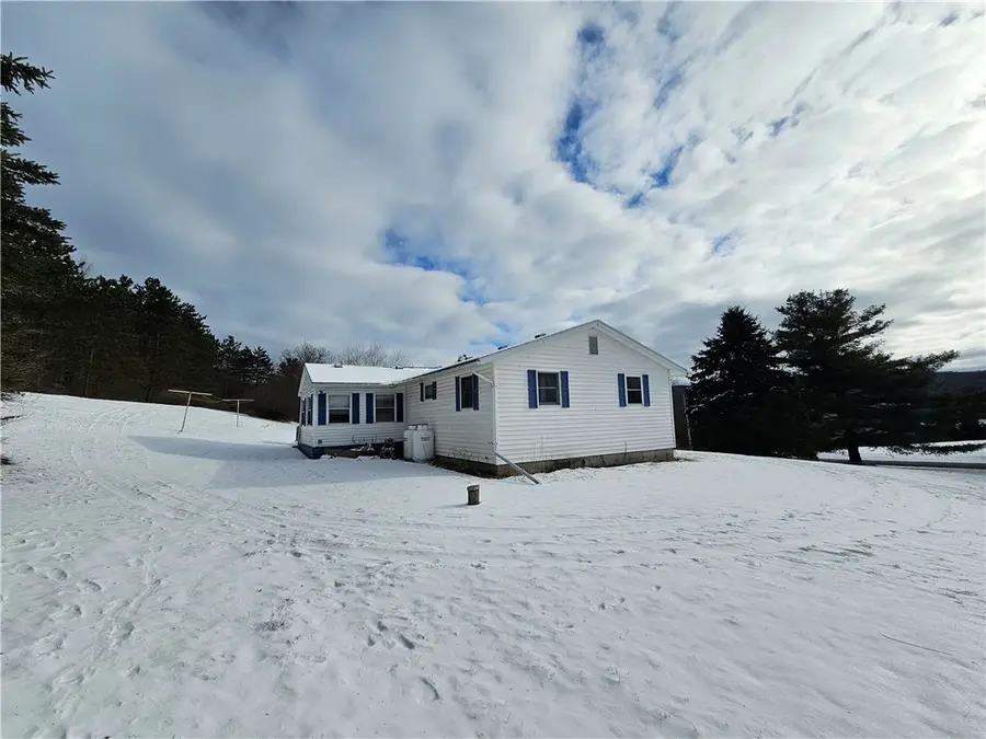 5565 Thomas Road, Woodhull, NY 14898 - Image #3