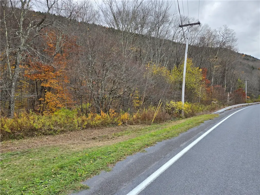 Lot 7 County Highway 6, Margaretville, NY 12455 - Image #1