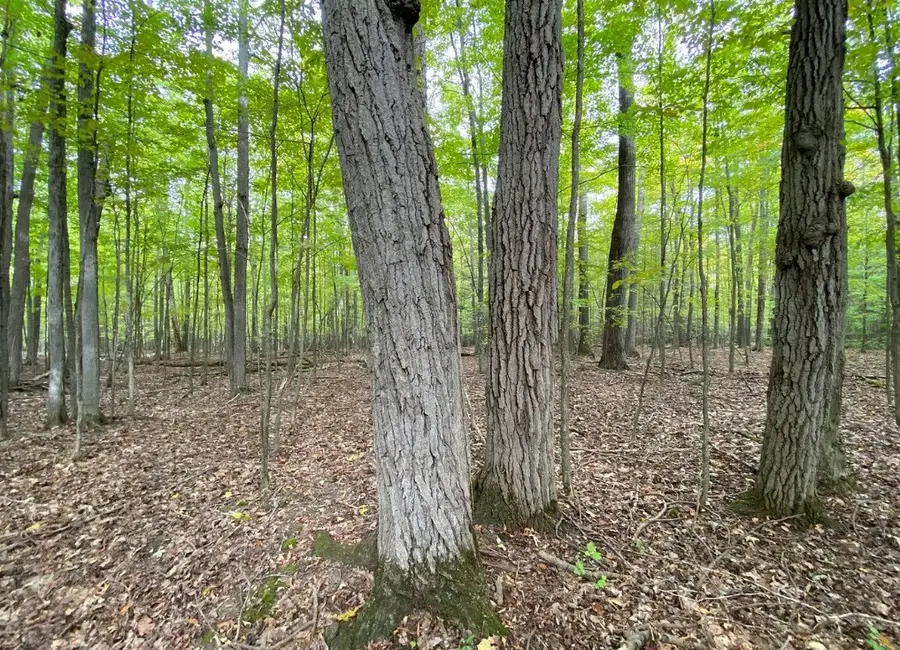 Tinkertown Road, Tuscarora, NY 14801 - Image #2