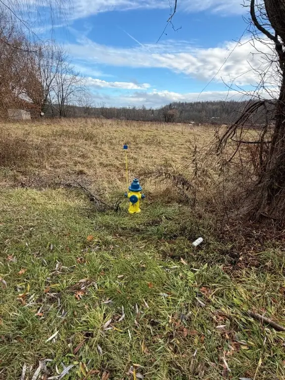 Hall Center Road, Walworth, NY 14568 - Image #2