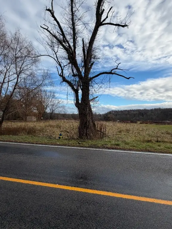 Hall Center Road, Walworth, NY 14568 - Image #3