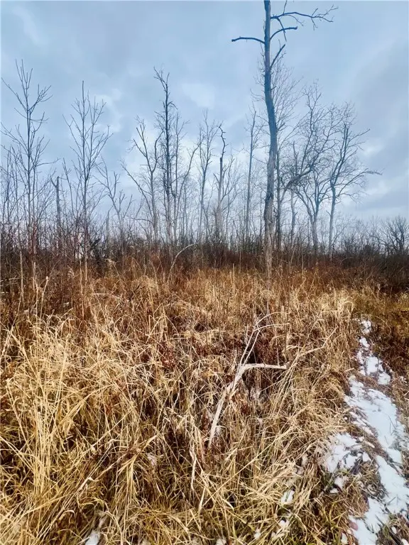 0 Neimi Road, Ithaca, NY 14850 - Image #2