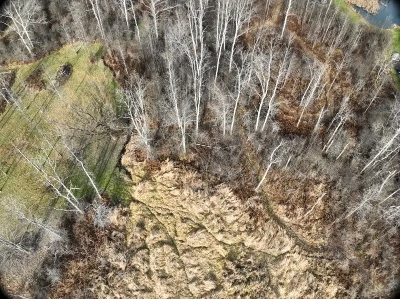 0 Neimi Road, Ithaca, NY 14850 - Image #3