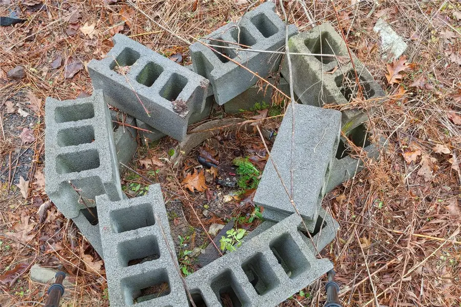 Address Withheld By Seller, Middleburgh, NY 12122 - Image #3