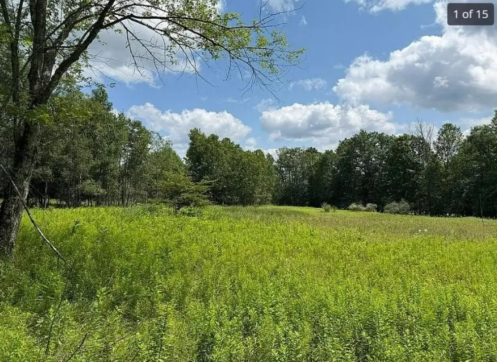 125 Dimmick Mountain Road, Middletown, NY 12455 - Image #1