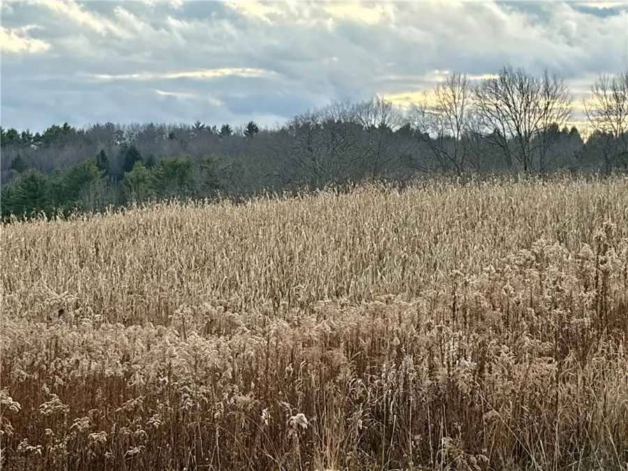 181 Short Crumhorn Road, Maryland, NY 12116 - Image #2