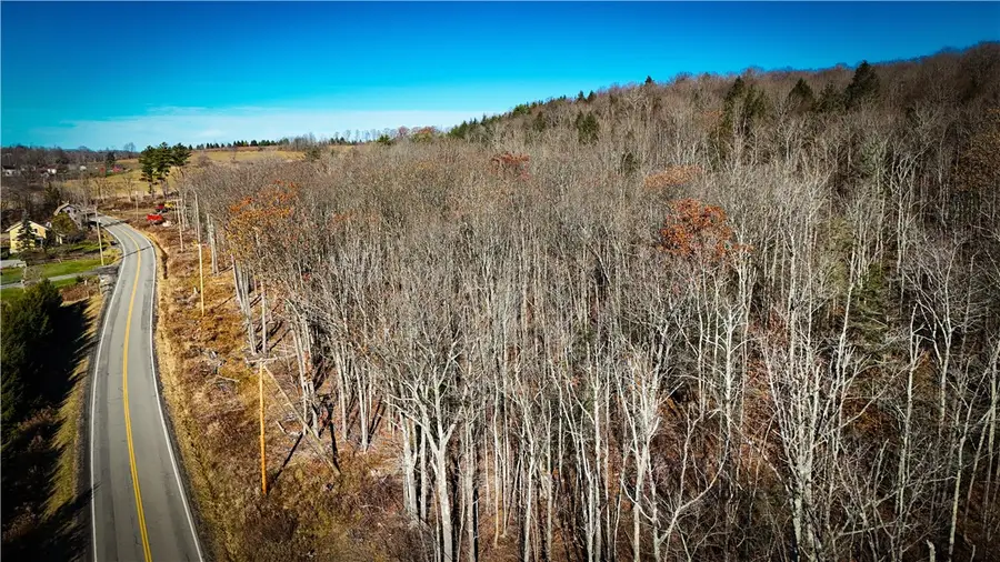 Lot-02 Langford Creek Road, Van Etten, NY 14889 - Image #2