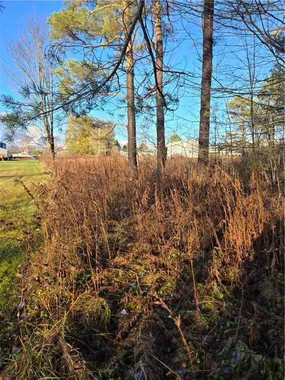 17 Benson Lane, Kane, PA 16735 - Image #3