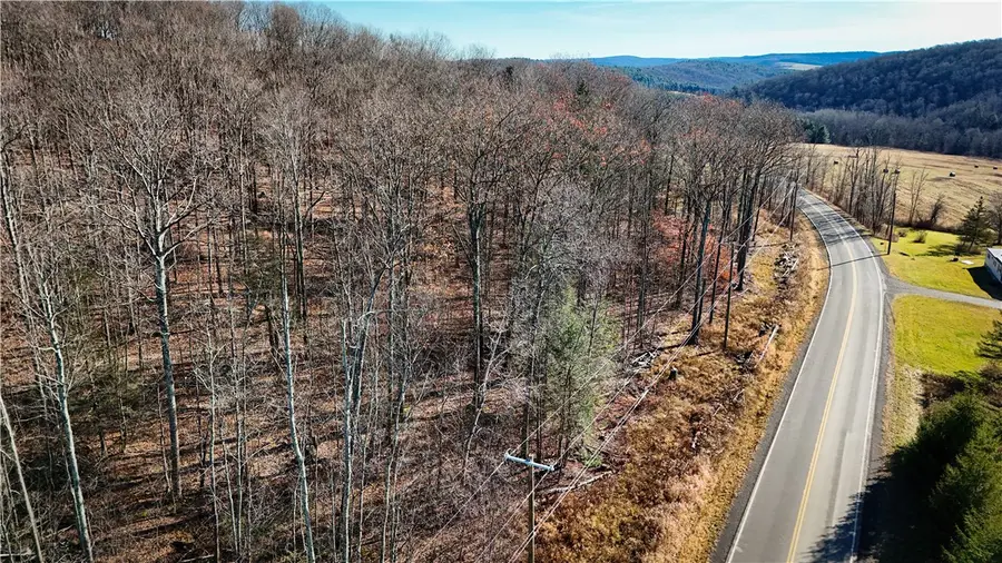 Lot-01 Langford Creek Road, Van Etten, NY 14889 - Image #2