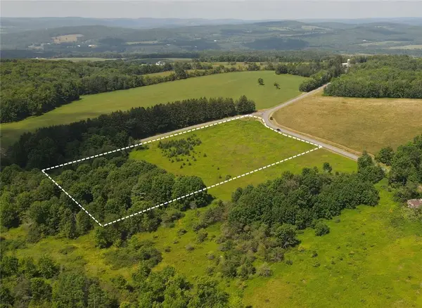 Ramey Road, Pittsfield, NY 13411