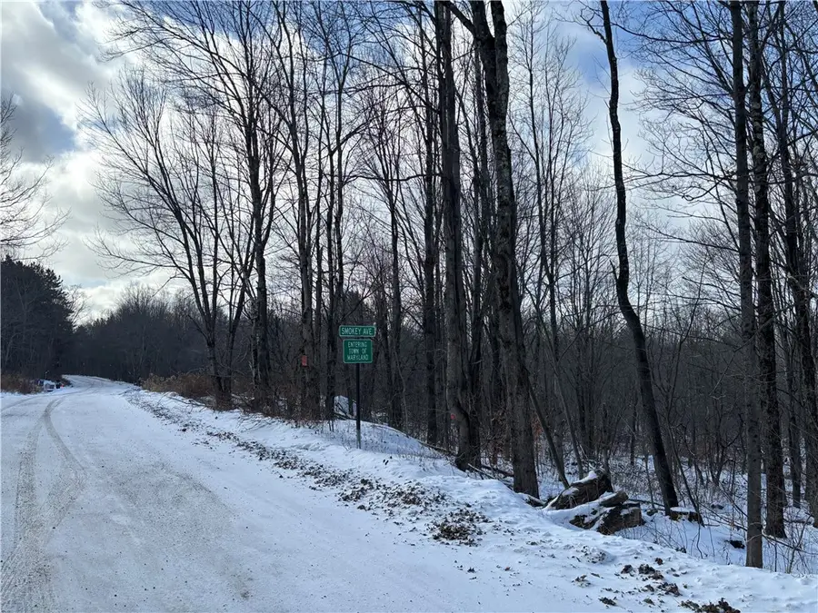 Smokey Avenue, Schenevus, NY 12155 - Image #2