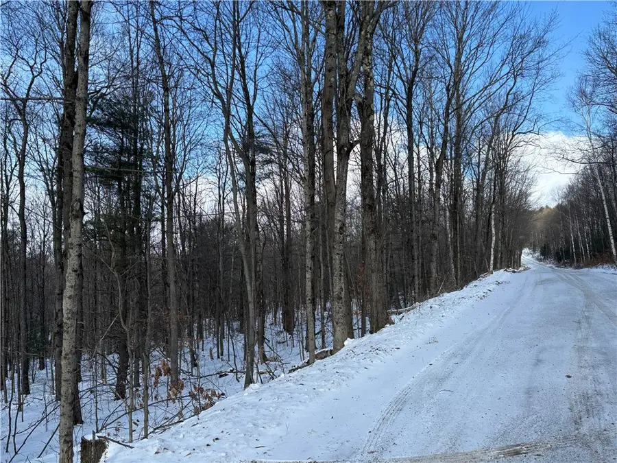 Smokey Avenue, Schenevus, NY 12155 - Image #3