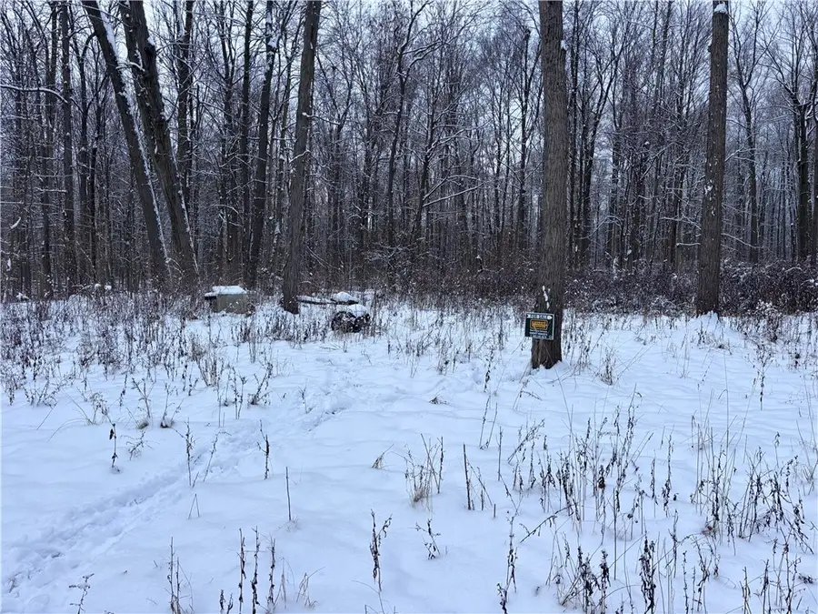 Sonyea Road, Groveland, NY 14510 - Image #2