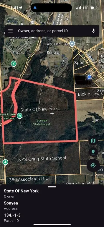 Sonyea Road, Groveland, NY 14510 - Image #3