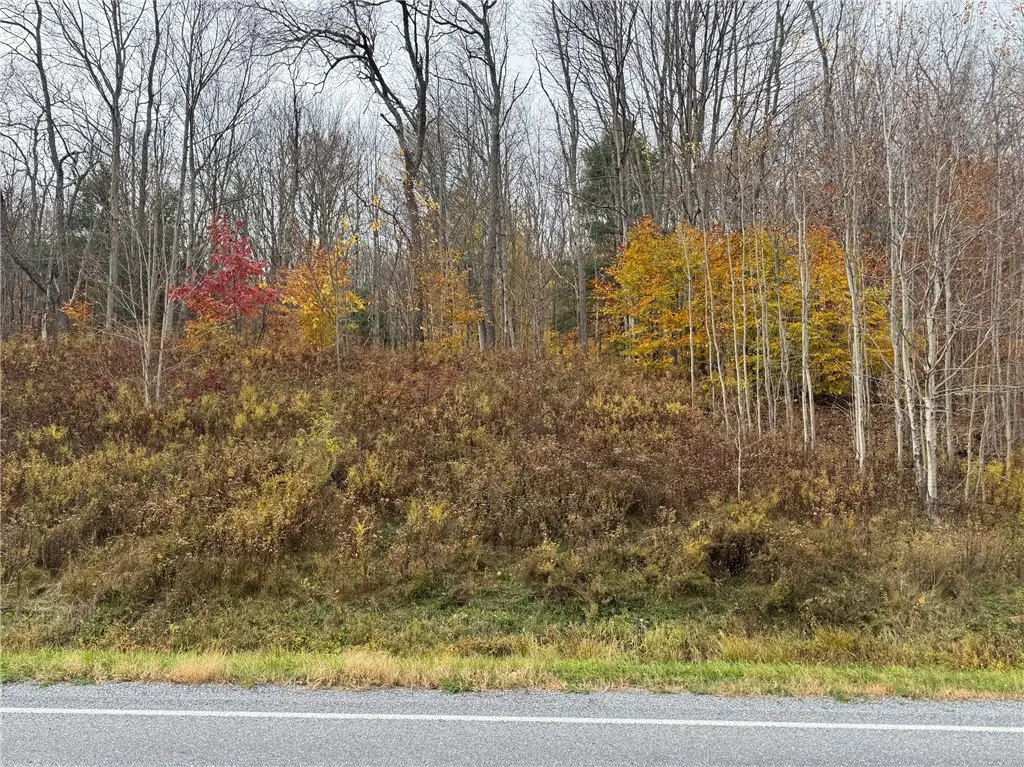 County Hwy 10, Meredith, NY 13757 - Image #1