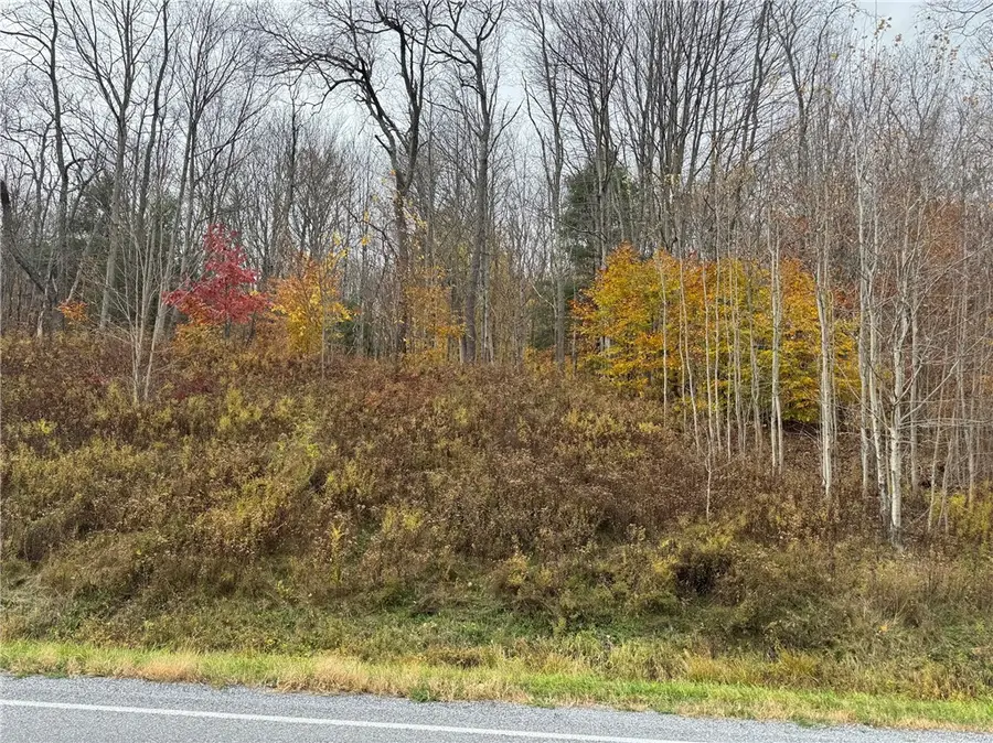 County Hwy 10, Meredith, NY 13757 - Image #2