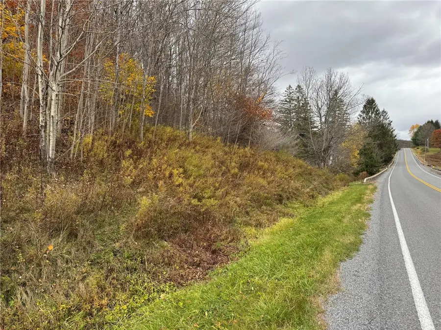 County Hwy 10, Meredith, NY 13757 - Image #3