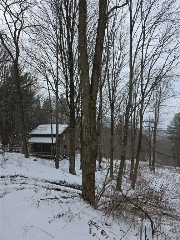 613 Sibley Gulf Road, Cooperstown, NY 13326 - Image #3