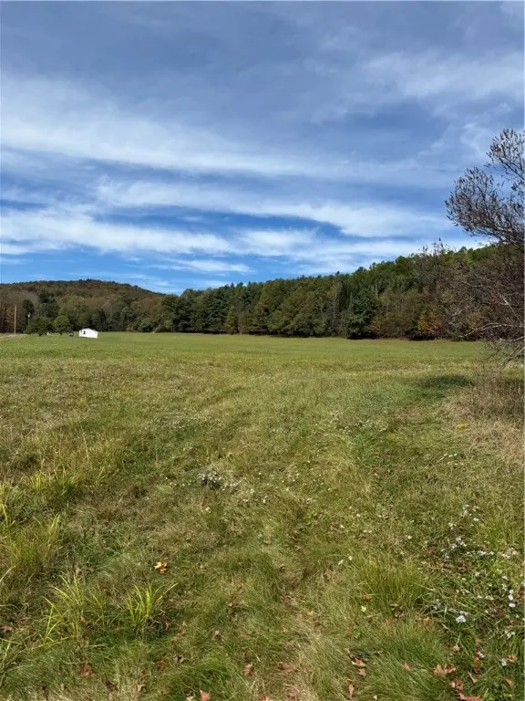 467 Sanford Hollow Road, Little Genesee, NY 14754 - Image #2