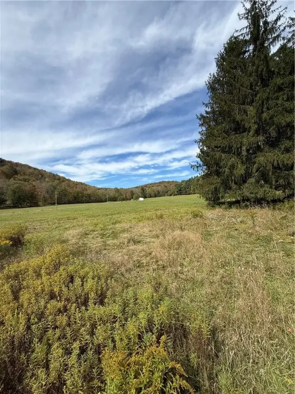 467 Sanford Hollow Road, Little Genesee, NY 14754 - Image #3