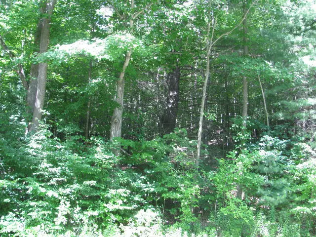 62054 State Route 415, Cohocton, NY 14826 - #1