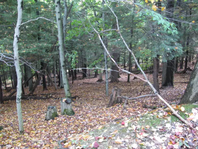 62054 State Route 415, Cohocton, NY 14826 - #2