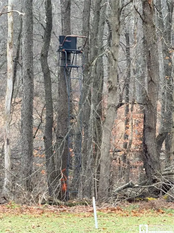 4437 Hewes Road, Mayville, NY 14757 - Image #2