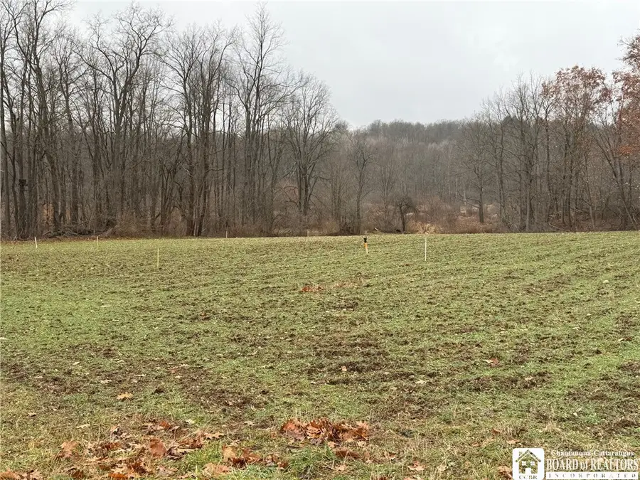 4437 Hewes Road, Mayville, NY 14757 - Image #3