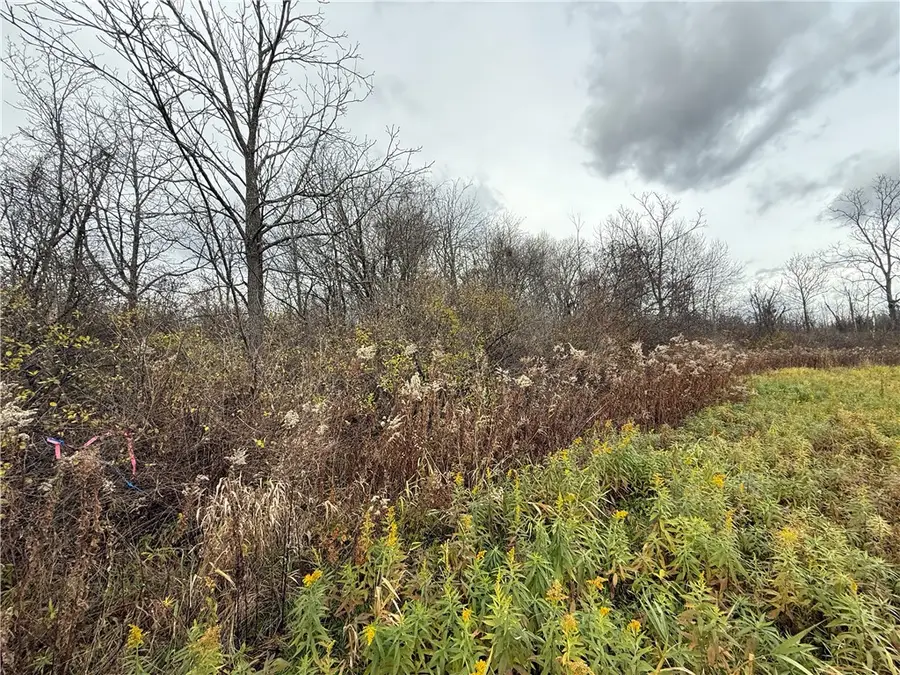 Tucker Road, Trumansburg, NY 14886 - Image #2