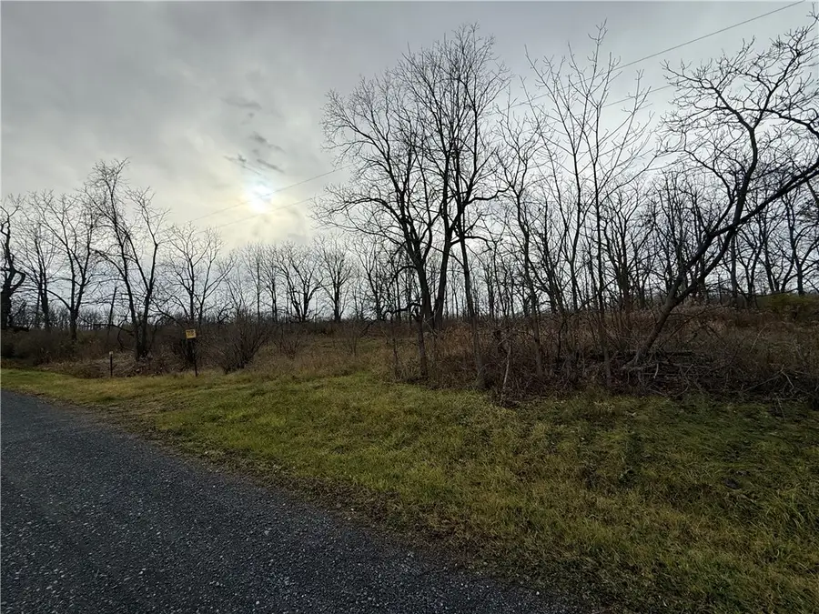 Tucker Road, Trumansburg, NY 14886 - Image #3