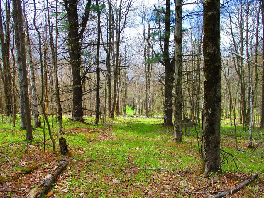 990 Smokey Avenue, Schenevus, NY 12155 - #3