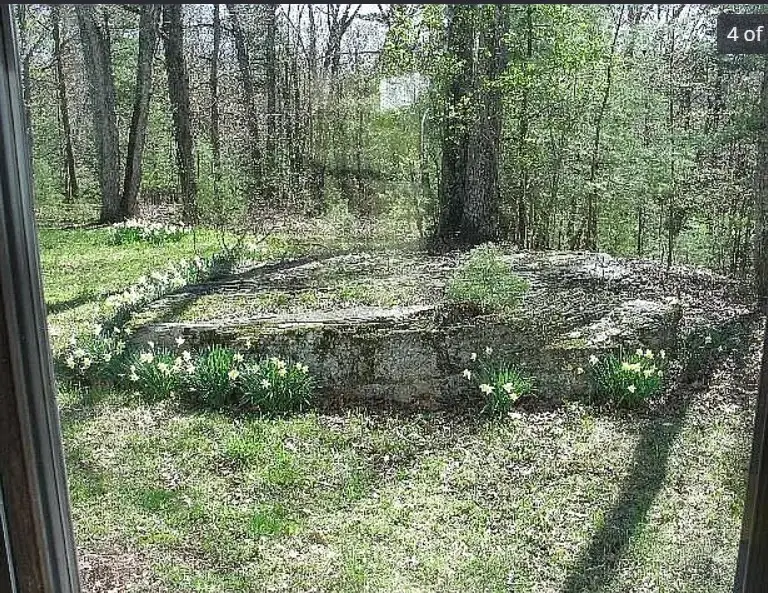 515 Acorn Hill Road, Olive, NY 12461 - Image #3