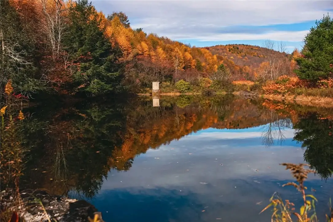 Big Hollow Road, Deposit, NY 13754 - Image #1