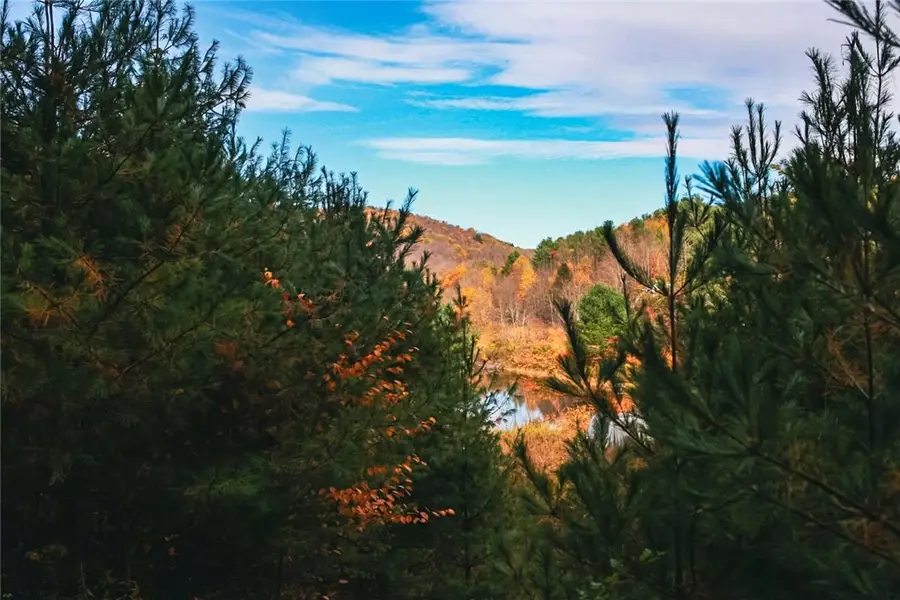 Big Hollow Road, Deposit, NY 13754 - Image #2