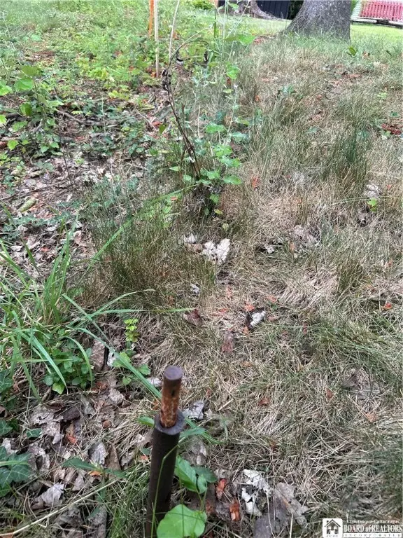 Alleghany Road E, Forestville, NY 14062