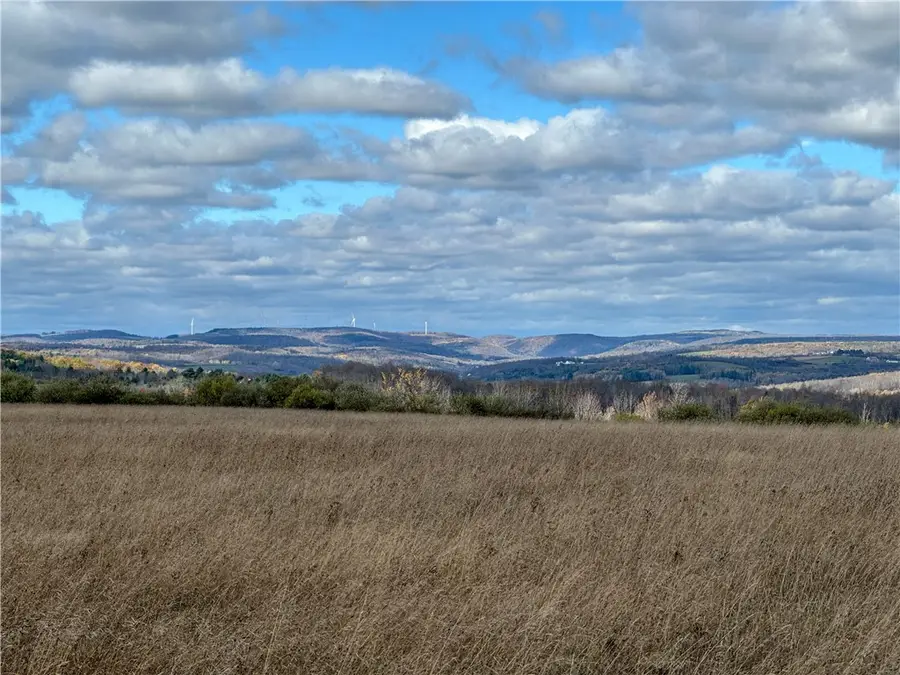 VL Lot 1 Williams Road, Addison, NY 14801 - Image #3