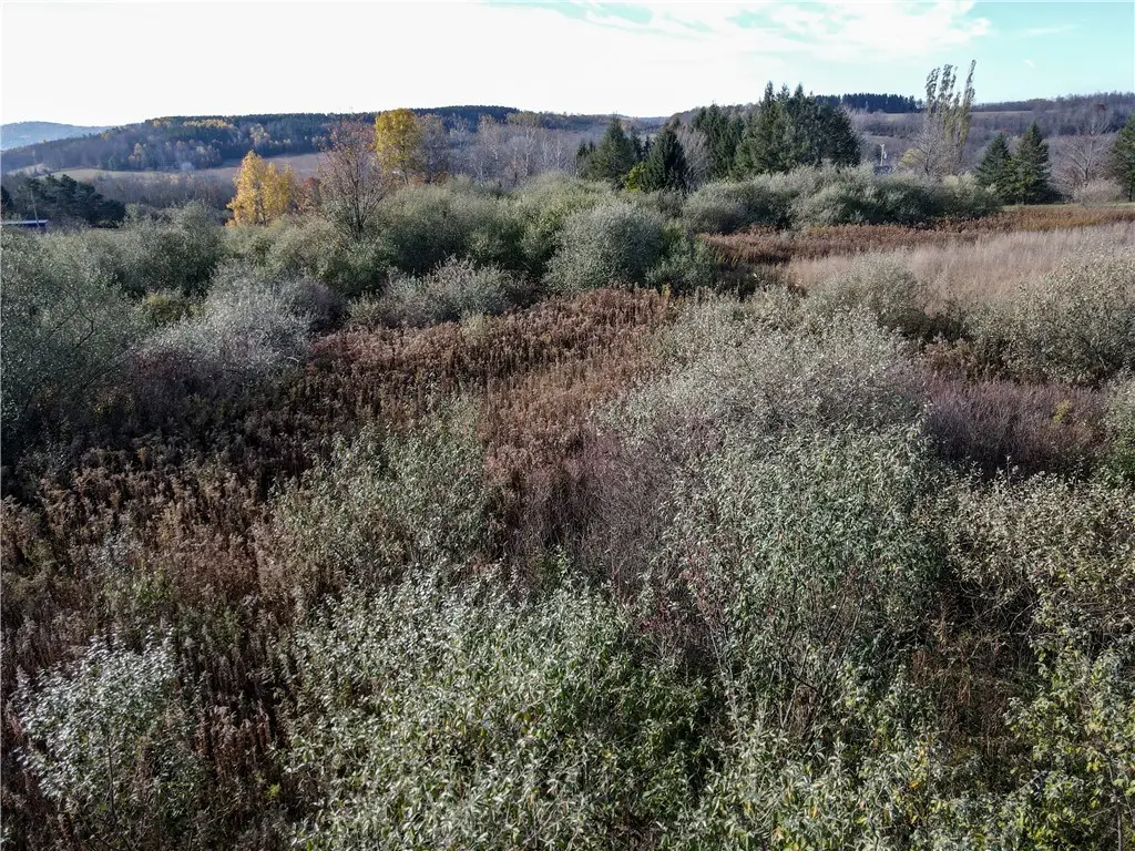 VL Lot 03 Williams Road, Addison, NY 14801 - Image #1