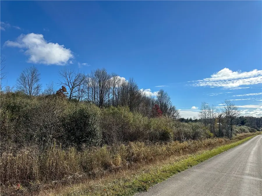 VL Lot 03 Williams Road, Addison, NY 14801 - Image #3