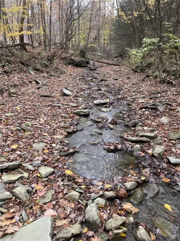 0 Parker Road, Campbell, NY 14821